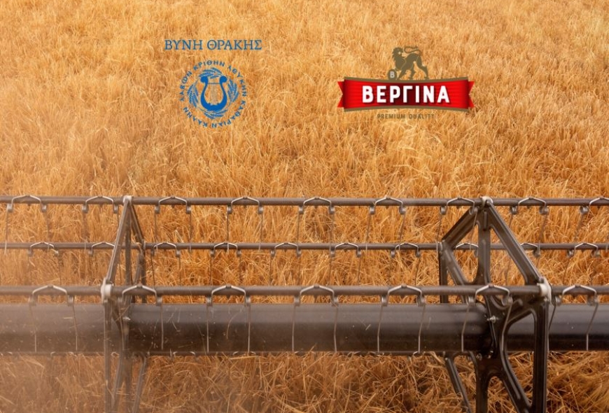 Στην καλύτερη τιμή της αγοράς και χωρίς πλαφόν στα κιλά το βυνοποιήσιμο κριθάρι της ΖΜΘ